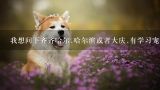 我想问下齐齐哈尔.哈尔滨或者大庆.有学习宠物美容的,黑龙江省宠物美容专业的专科有哪些？