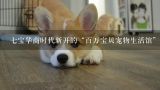 七宝华商时代新开的“百万宝贝宠物生活馆”如何,上海百万宝贝宠物生活馆有谁带狗狗去过的？
