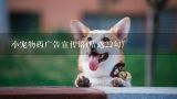 小宠物药广告宣传语(精选22句),宠物药品的宣传广告词