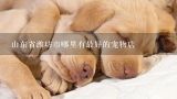 山东省潍坊市哪里有最好的宠物店,潍坊地区宠物店金毛犬一般要多少钱