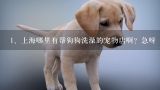 上海哪里有帮狗狗洗澡的宠物店啊？急呀,上海浦东金桥附近有哪家宠物店给巨型犬洗澡？