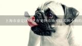 上海市嘉定区哪里有宠物市场可以买到小狗的,上海嘉定宠物市场在哪？或小狗市场