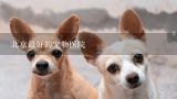 北京最好的宠物医院,那个知道东城、南城、石碣那里有没又好又便的狗医院