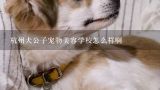 杭州犬公子宠物美容学校怎么样啊,请问哪个宠物美容师培训学校比较好啊！