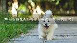 珠海免费领养狗狗的地方在哪里,珠海市梅花西路哪里有免费领养 狗狗的吗？