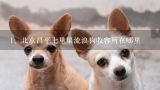 北京昌平七里渠流浪狗收容所在哪里,北京地区有宠物福利中心吗？它都分布在哪里？