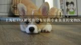 上海虹口区附近有没有好的专业负责的宠物医院？求上海好的市宠物医院 我住在虹口区