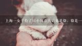 上海一女子捡了只小狗养大后竟是貉，貉是一种什么生,这是什么动物？