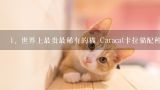 世界上最贵最稀有的猫 Caracat卡拉猫配种费高达16万