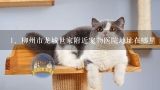 柳州市龙城世家附近宠物医院地址在哪里,柳州哪里能买到刚出生的猫
