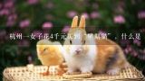 杭州一女子花4千元买到“星期猫”，什么是“星期猫,浙江最大的宠物猫市场在哪里