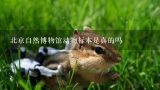 北京自然博物馆动物标本是真的吗,请问北京哪里有帮人制作动物标本的地方?