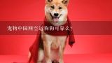 如何找可靠的长途宠物托运公司呢？请问北京有可靠的宠物托运公司（空运）吗？