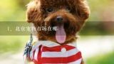 北京宠物市场在哪,北京的宠物市场有哪些？