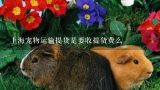 上海宠物运输提货是要收提货费么,宠物提货费是什么意思