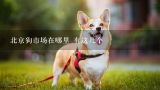 北京狗市场在哪里 有这几个,北京宠物交易市场在什么地方？