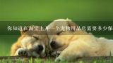 如何做宠物用品代理？请问找哪个更合适？上海哪里找宠物用品批发市场，或者进价低的工厂？