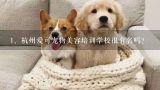 杭州爱可宠物美容培训学校很有名吗？
