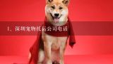 深圳宠物托运公司电话,泰迪犬可以深圳航空宠物托运吗