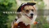 哪有宠物美容培训？请问 中国纯种犬俱乐部（CKC）有自己的培训中心吗？