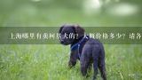 上海哪里有卖柯基犬的？大概价格多少？请各位知道的,上海哪里买狗比较好，一定要健康能保证的，最好有阿