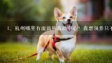 杭州哪里有流浪狗救助中心？我想领养只不要收费的。,杭州哪里可以领养狗狗？给详细信息