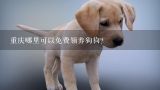 重庆哪里可以免费领养狗狗？重庆那里有免费领养狗狗的啊