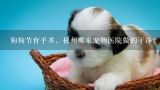狗狗节育手术，杭州哪家宠物医院做的干净？温州市区哪家宠物医院好 干净 不黑 诚信的？