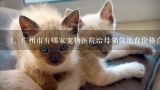 广州市有哪家宠物医院给母猫做绝育价格合理又安全的,请问有人知道广州有什么宠物医院比较好的吗?