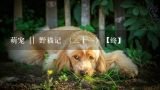 萌宠 || 野猫记 （二十一）【终】,北京宠爱国际动物医疗机构有限公司怎么样？