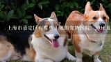 上海市嘉定区有哪些正规的宠物医院？地址及电话？上海嘉定区的宠物医院在哪？