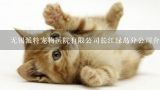 无锡派特宠物医院有限公司长江绿岛分公司介绍？