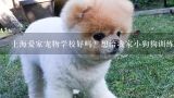 上海爱家宠物学校好吗？想给我家小狗狗训练大小便不知道可以吗？一般需要几天可以完成?上海爱家宠物学校的环境怎么样？