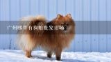 广州哪里有狗粮批发市场,广州宠物批发市场在哪？