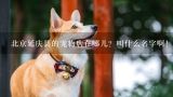 北京延庆县的宠物店在哪儿？叫什么名字啊！,请帮忙提供几个延庆能给狗狗洗澡的宠物店，最好有地址电话。急