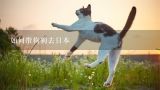 如何带狗狗去日本,从日本带宠物猫回国需要什么手续