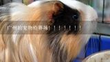 广州的宠物殓葬场！！！！！！！,广州的宠物殡仪馆