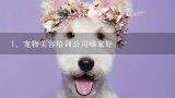 宠物美容培训公司哪家好,南京哪里有宠物美容师培训学校？