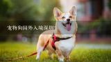宠物狗入境中国.,有人带宠物狗入境新西兰一年再带回来的吗