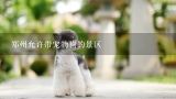 郑州允许带宠物狗的景区,郑州金鹭鸵鸟园可以带宠物狗去吗？？