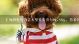上海的宠物酒店大型犬寄养每晚288起，你看好宠物酒,开宠物店怎么样？