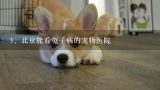 北京能看兔子病的宠物医院,昆明春苑小区附近哪家宠物医院可以医兔子！