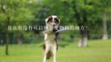 北京有没有可以领养宠物狗的地方？北京宠物狗免费领养