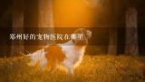 郑州好的宠物医院在哪里,郑州市哪里的宠物医院给狗狗看病最好