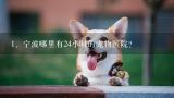 宁波哪里有24小时的宠物医院？,宁波云龙宠物医院的位置在哪里