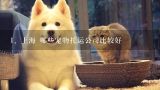 上海 哪些宠物托运公司比较好,托运狗狗的快递公司有哪些?
