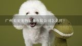 广州美宠宠物服务有限公司怎么样？宠物狗有一个美什么,不是博美