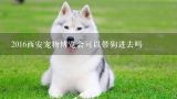 2016西安宠物博览会可以带狗进去吗,2016昆明宠物博览会收门票吗