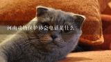 河南动物保护协会电话是什么,河南省有多少个动物协会