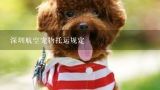 深圳航空宠物托运规定,在深圳宝安机场如何托运宠物狗和猫？